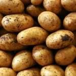 patate gialle