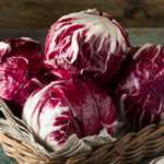 radicchio rosso